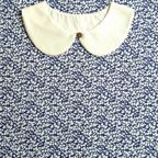 �J���[�o���G�[�V����