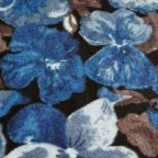 ���̑��̉摜