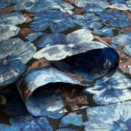 ���̑��̉摜