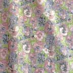 ���̑��̉摜