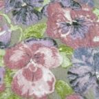 ���̑��̉摜