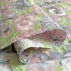 ���̑��̉摜