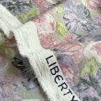 ���̑��̉摜