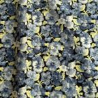 ���̑��̉摜