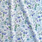 ���̑��̉摜