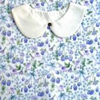 ���̑��̉摜