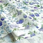 ���̑��̉摜