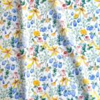 ���̑��̉摜