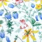 ���̑��̉摜