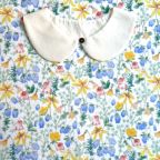 ���̑��̉摜