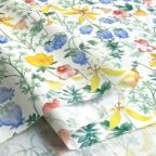 ���̑��̉摜