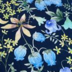 ���̑��̉摜