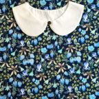 ���̑��̉摜