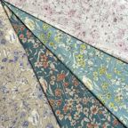 ���̑��̉摜