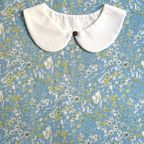 ���̑��̉摜