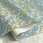 ���̑��̉摜