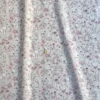 ���̑��̉摜