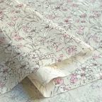 ���̑��̉摜