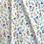 ���̑��̉摜