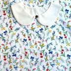 ���̑��̉摜