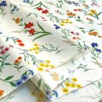 ���̑��̉摜