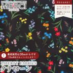 ���̑��̉摜