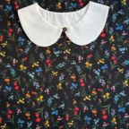 ���̑��̉摜