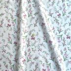 ���̑��̉摜