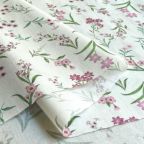 ���̑��̉摜