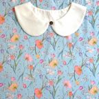 ���̑��̉摜