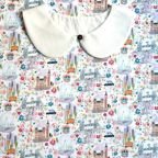 ���̑��̉摜