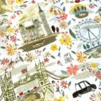 ���̑��̉摜