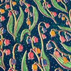 ���̑��̉摜