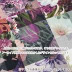 ���̑��̉摜