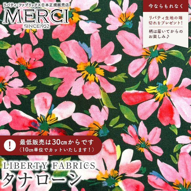 ���̑��̉摜