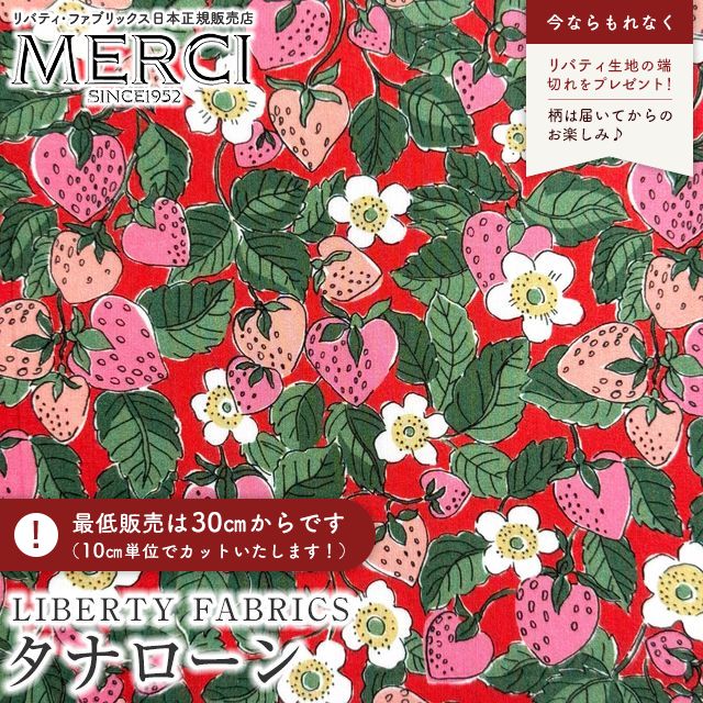 ���̑��̉摜