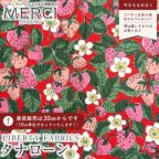 ���̑��̉摜