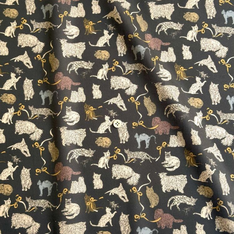 コリンシアン　イタリア代表パック　※プラチナムなし J2WZuH3jonPz.jpg?width=768