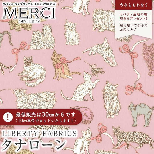 ���̑��̉摜