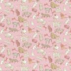 ���̑��̉摜