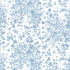 ���̑��̉摜