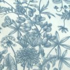 ���̑��̉摜