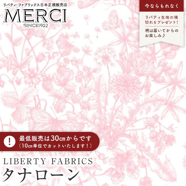 ���̑��̉摜