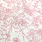 ���̑��̉摜