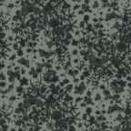 ���̑��̉摜