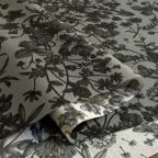 ���̑��̉摜