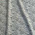 ���̑��̉摜