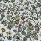 ���̑��̉摜