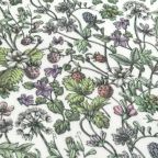 ���̑��̉摜