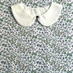 ���̑��̉摜